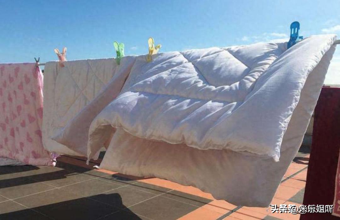 羽绒被暴晒会长虫子吗,羽绒被暴晒还有味道吗