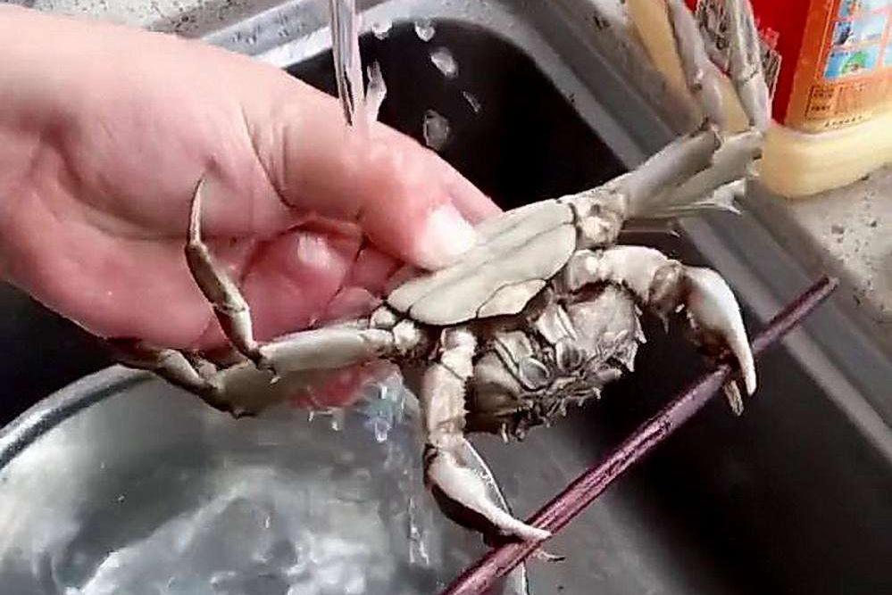 最适合冬天吃的家常菜好吃又不贵,适合冬季吃的几道家常菜