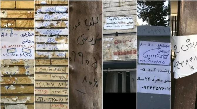 这个国家居然排队卖肾，与之相比我们简直就是在天堂！