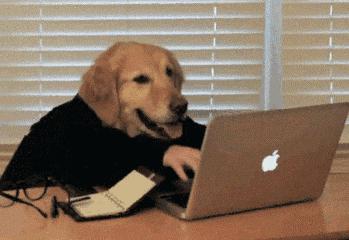 前端什么是https协议,前端必学http协议