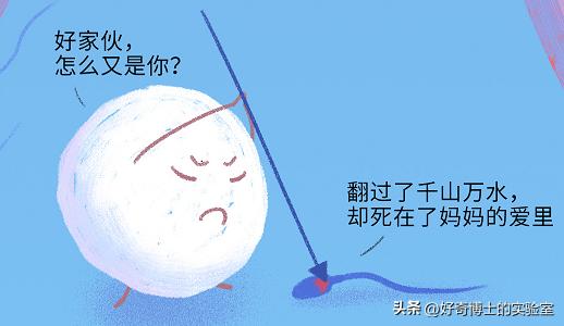 精子进入人体1小时变化,精子进入人体24小时变化