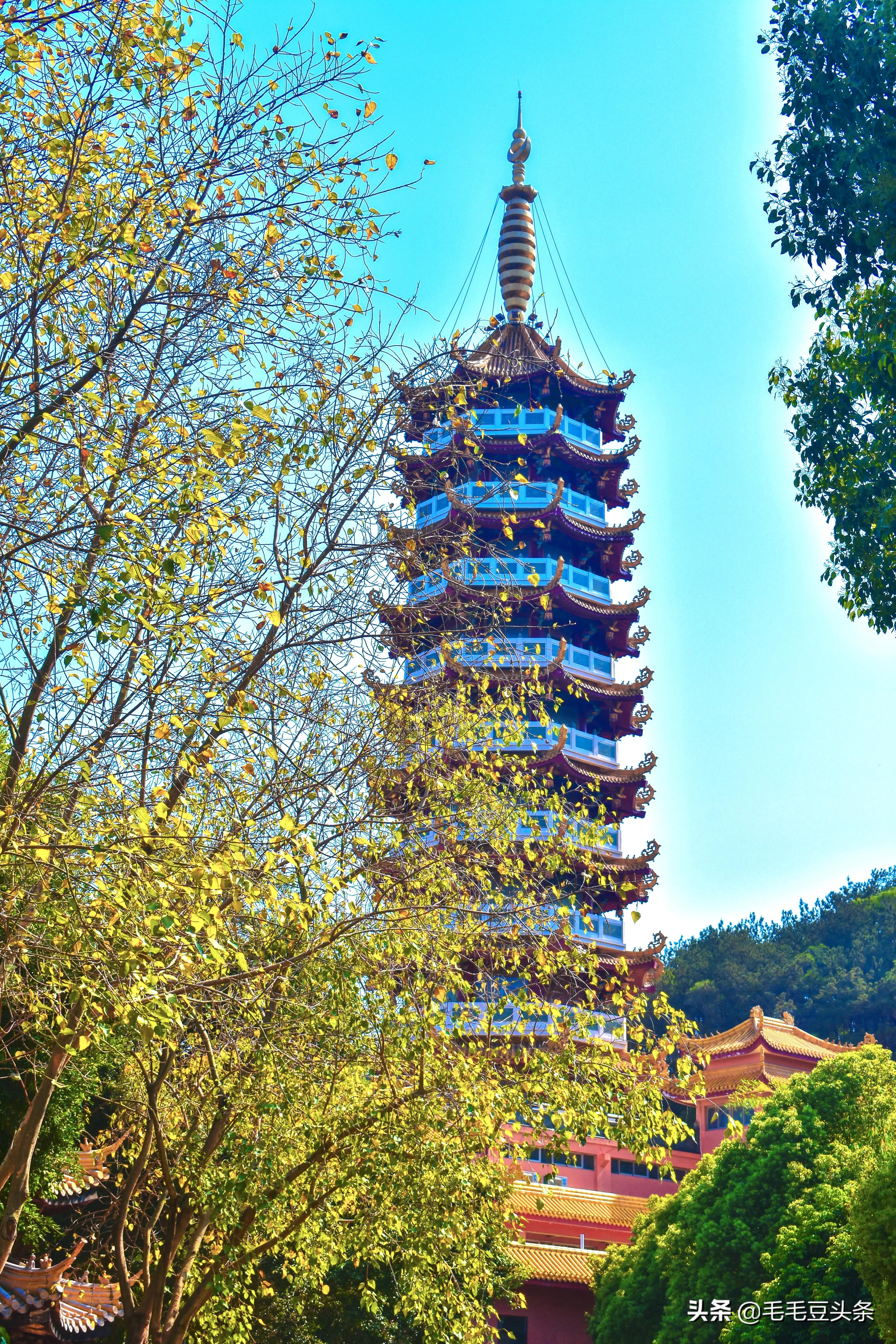 厦门景点大全自驾游攻略,厦门有哪些景点免费门票