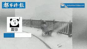 渔具产业的现状,中国渔具产业链