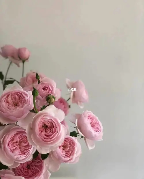 女生过度“用手”危害大,如果不戒掉,这五个后果会来临