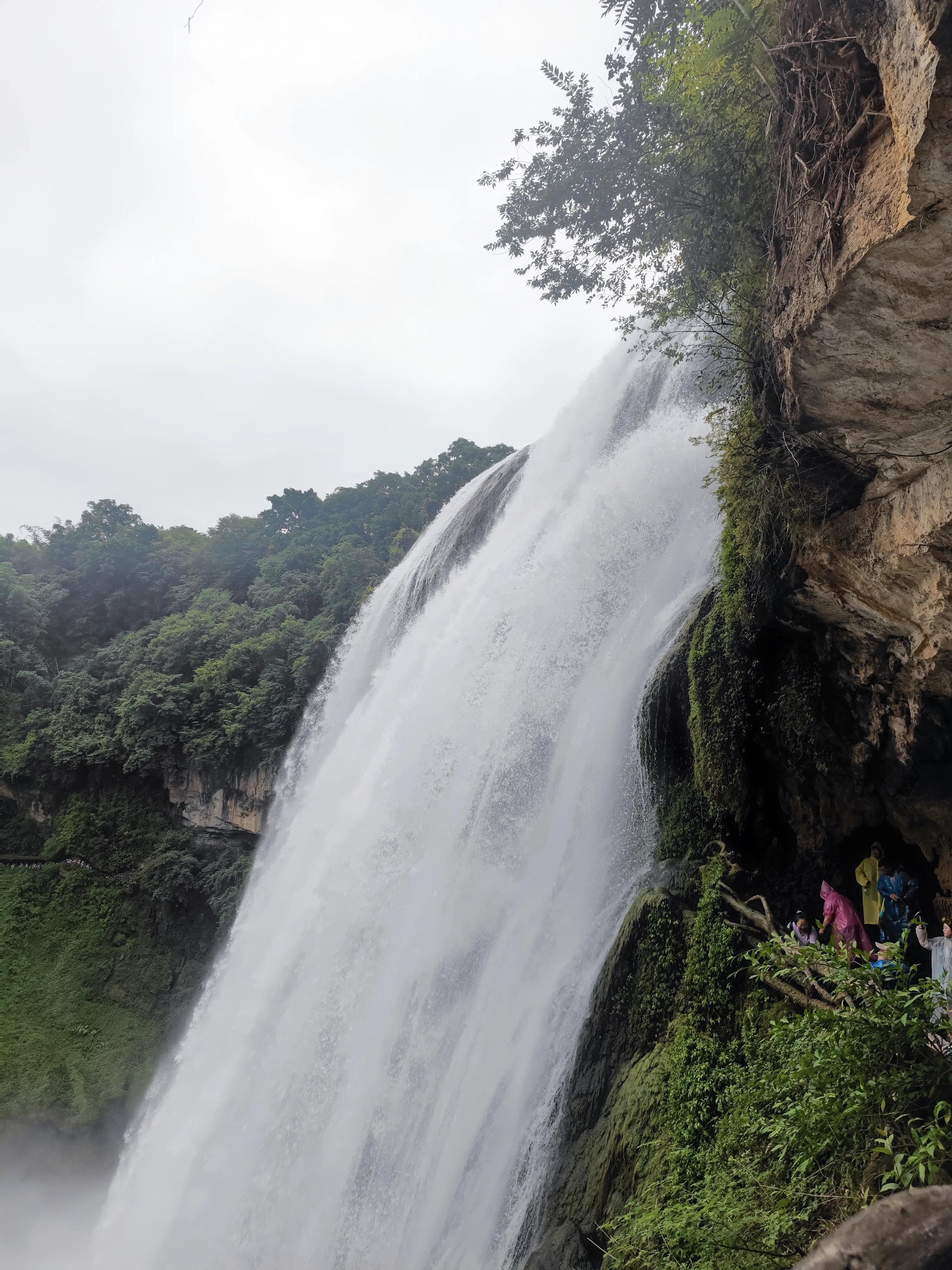 多彩贵州黄果树茅台酒,多彩贵州我的家黄果树