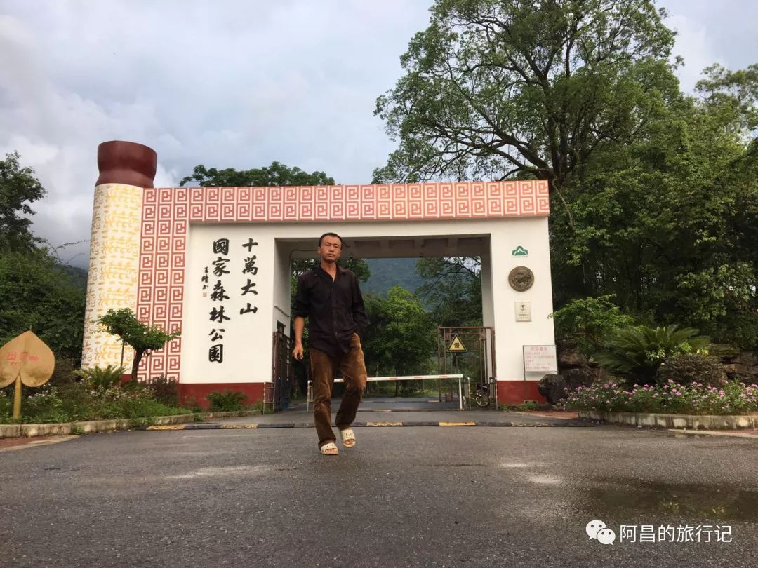 广西十万大山国家森林公园,广西十万大山国家森林公园图片