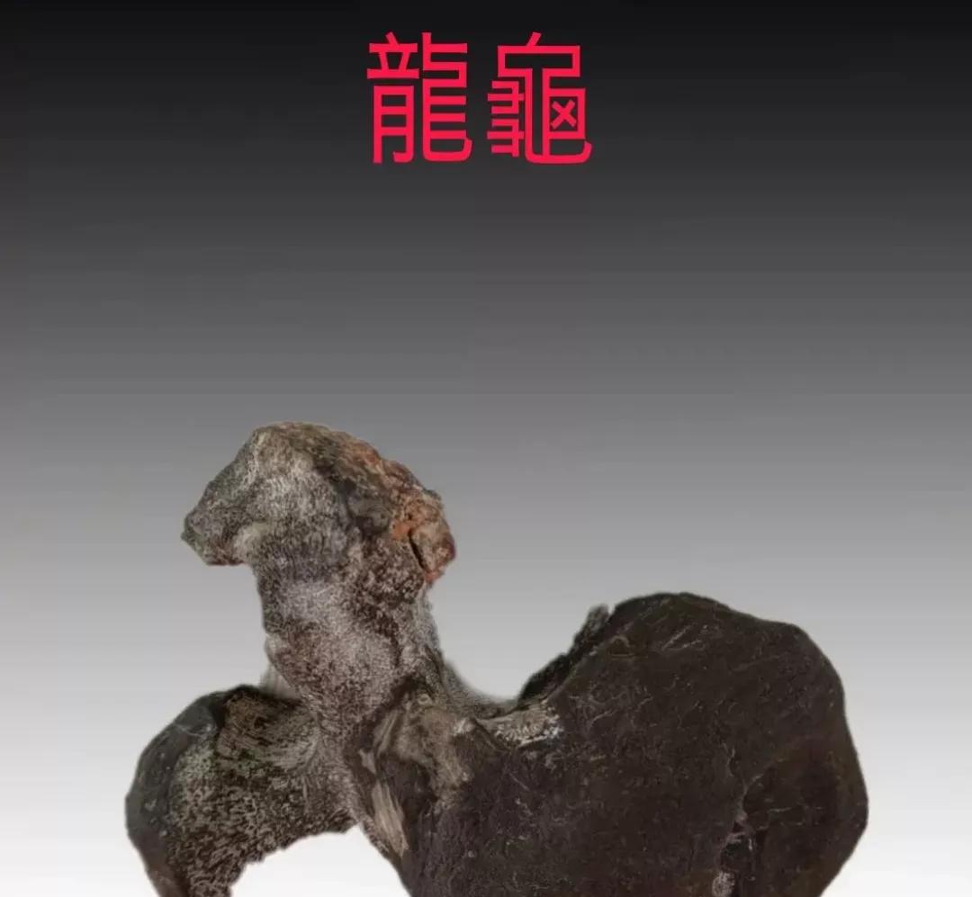 赏玩和收藏奇石其乐无穷,奇石赏玩中的一些吉祥寓意