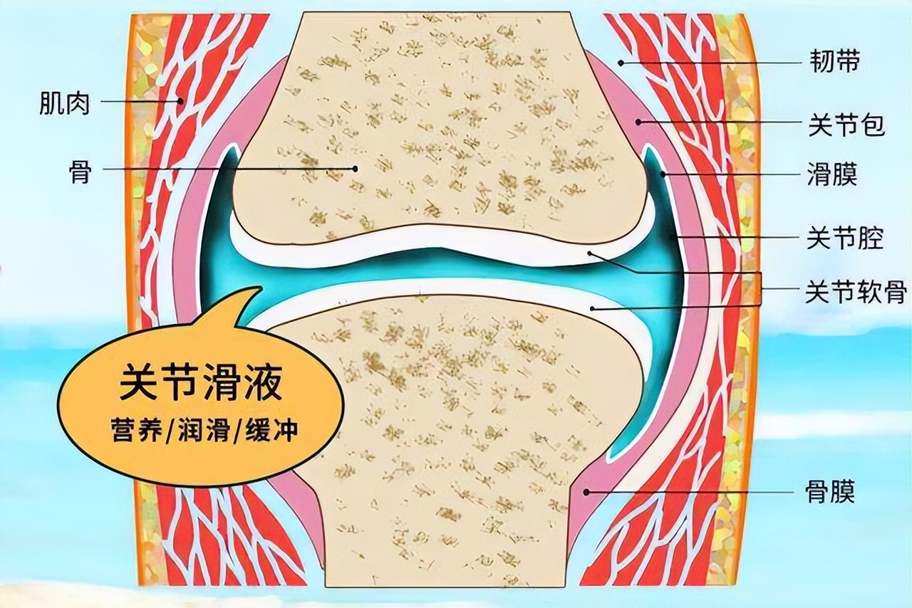 关节积液反复折磨?9个方法帮您缓解
