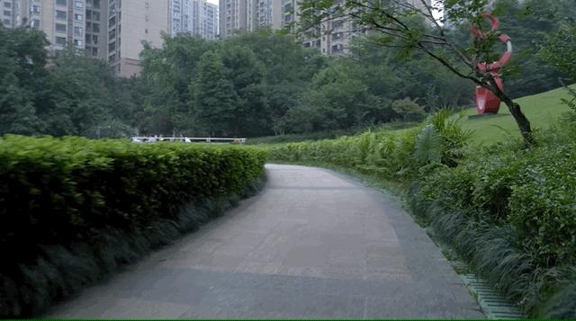 智云稳定器weebill3拍视频,智云稳定器weebill3说明书