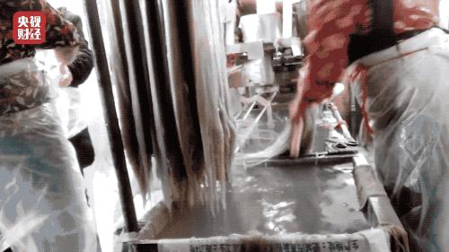 木薯粉中毒事件,木薯粉中毒