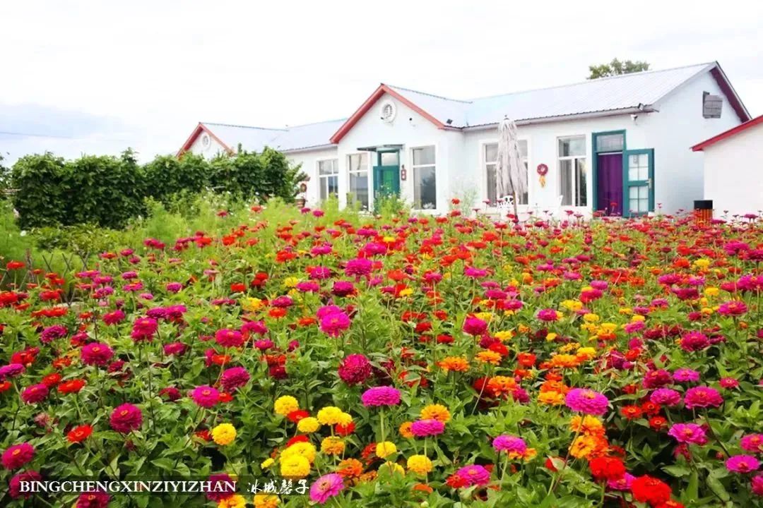 黑龙江恐龙之乡嘉荫县,中俄边境伊春市嘉荫县