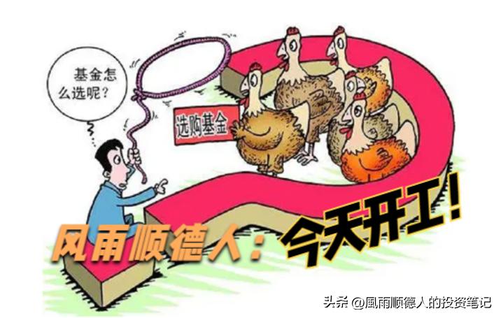 低位白酒暴涨板块要见顶吗,白酒走强的最新消息