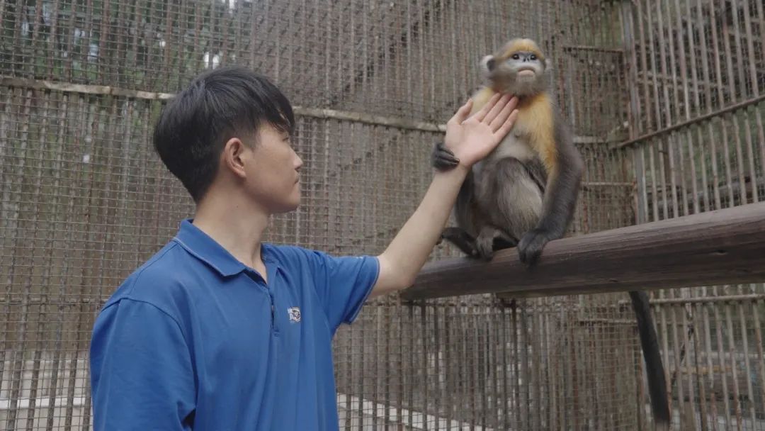 贵州最值得一去的地方,贵州最值得去的10个好地方