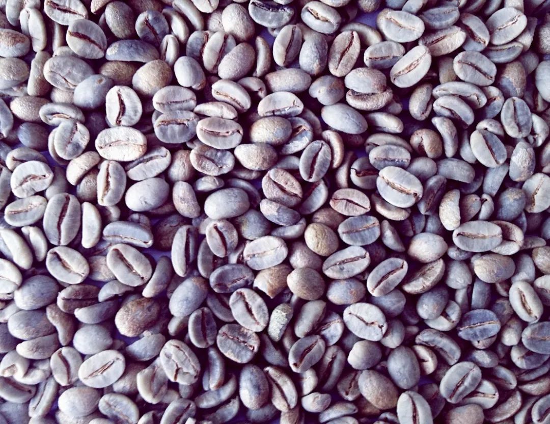 保山潞江坝小粒咖啡,小粒咖啡云南保山