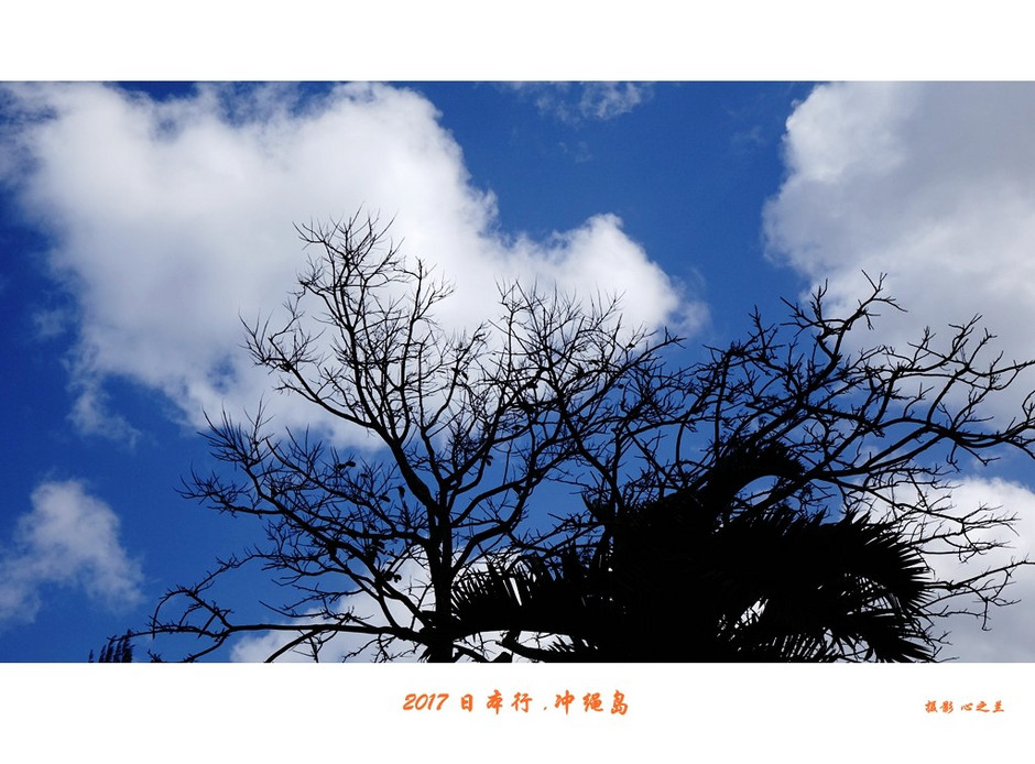 冲绳之行旅游攻略,日本冲绳之行