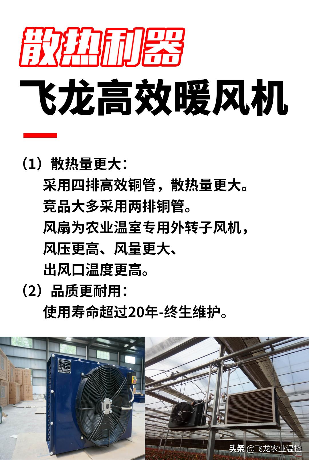 大棚锅炉供暖方案,新型温室大棚加温锅炉