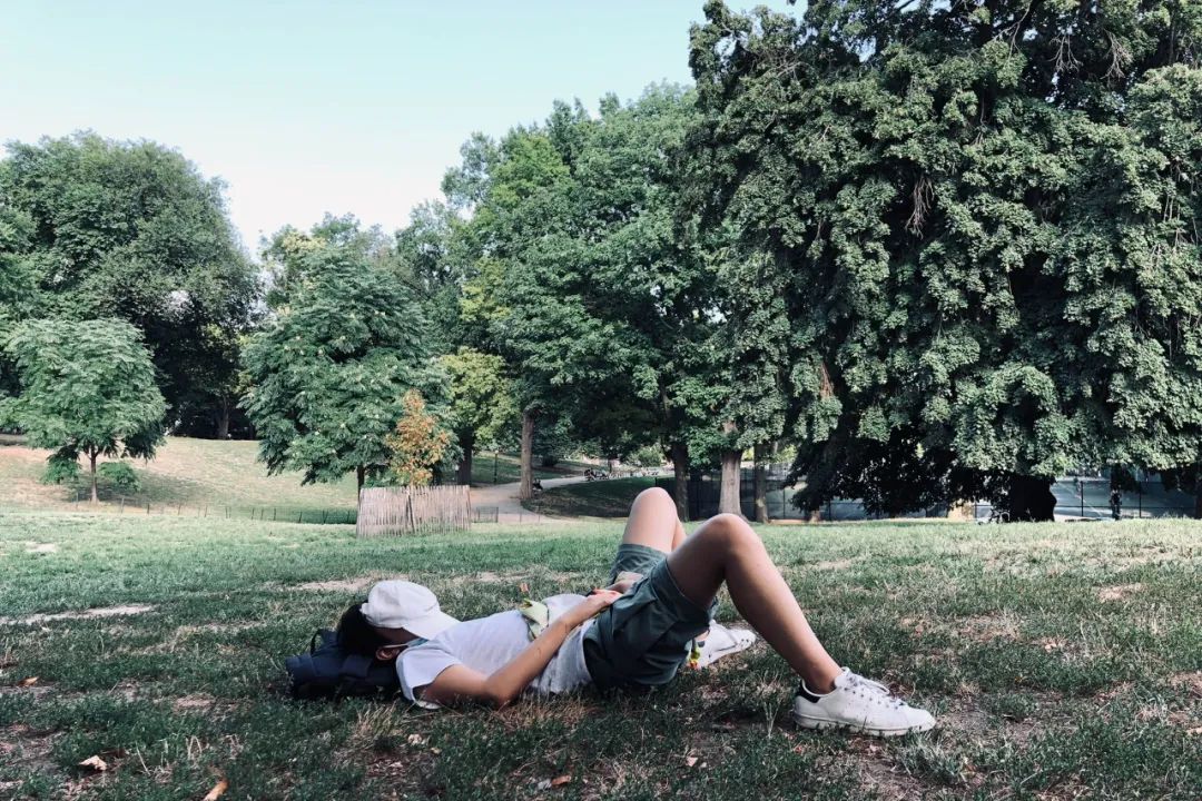 在pratt，班里12人，人人去游戏动画大厂