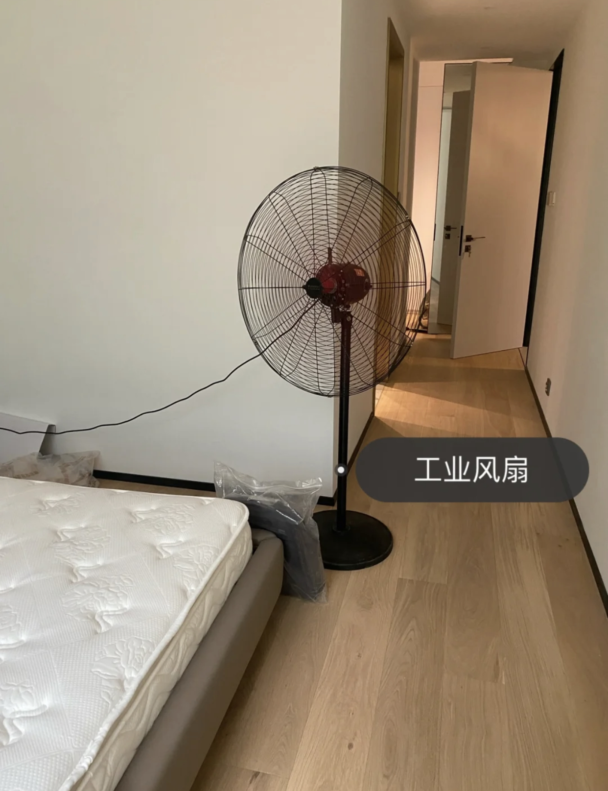 这4个除甲醛方法最后一个最划算,除甲醛最有效的方法官方提醒