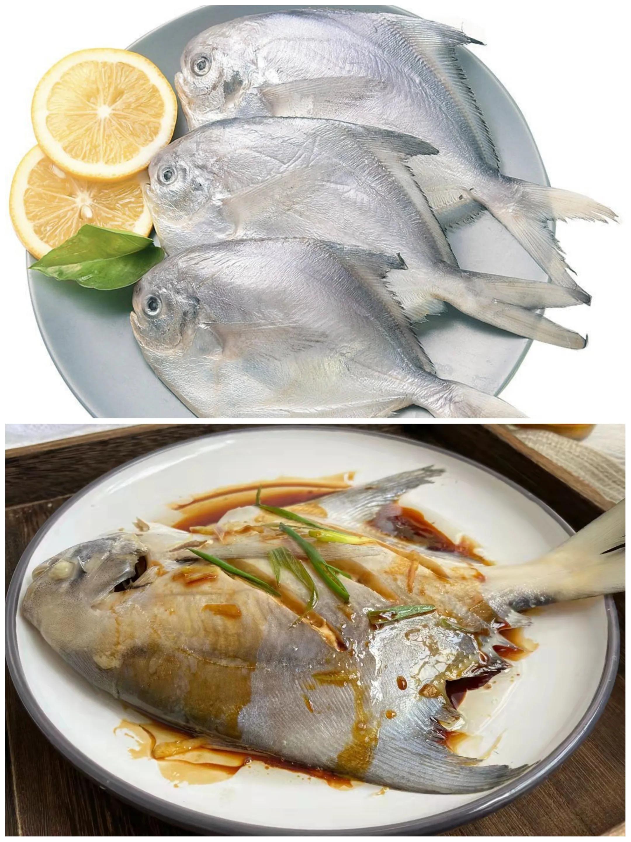 100种常见海鱼大全,常吃的海鱼图片及介绍