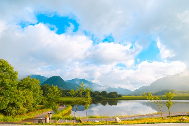 适合在农村创业项目,农村创业做什么最适合