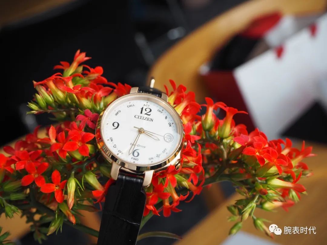 性价比高的入门级女表,怎么选一只百搭的女表