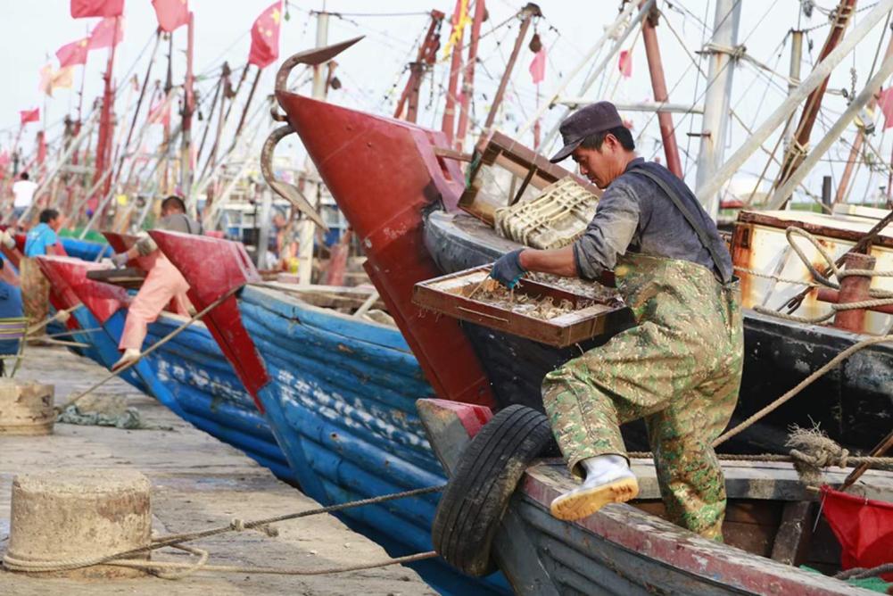 秦皇岛开海海鲜图片,开海后的生猛海鲜已抵达秦皇岛