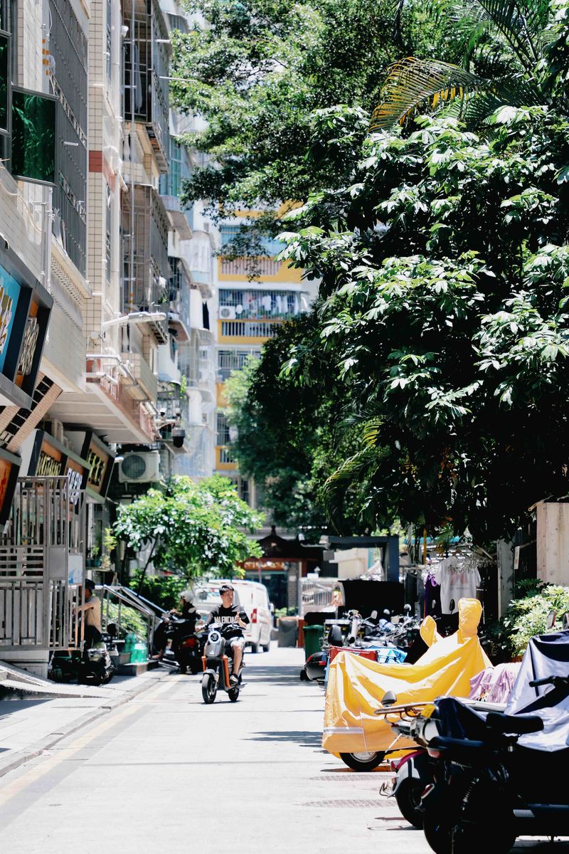 深圳市蛇口攻略,深圳海岛蛇口