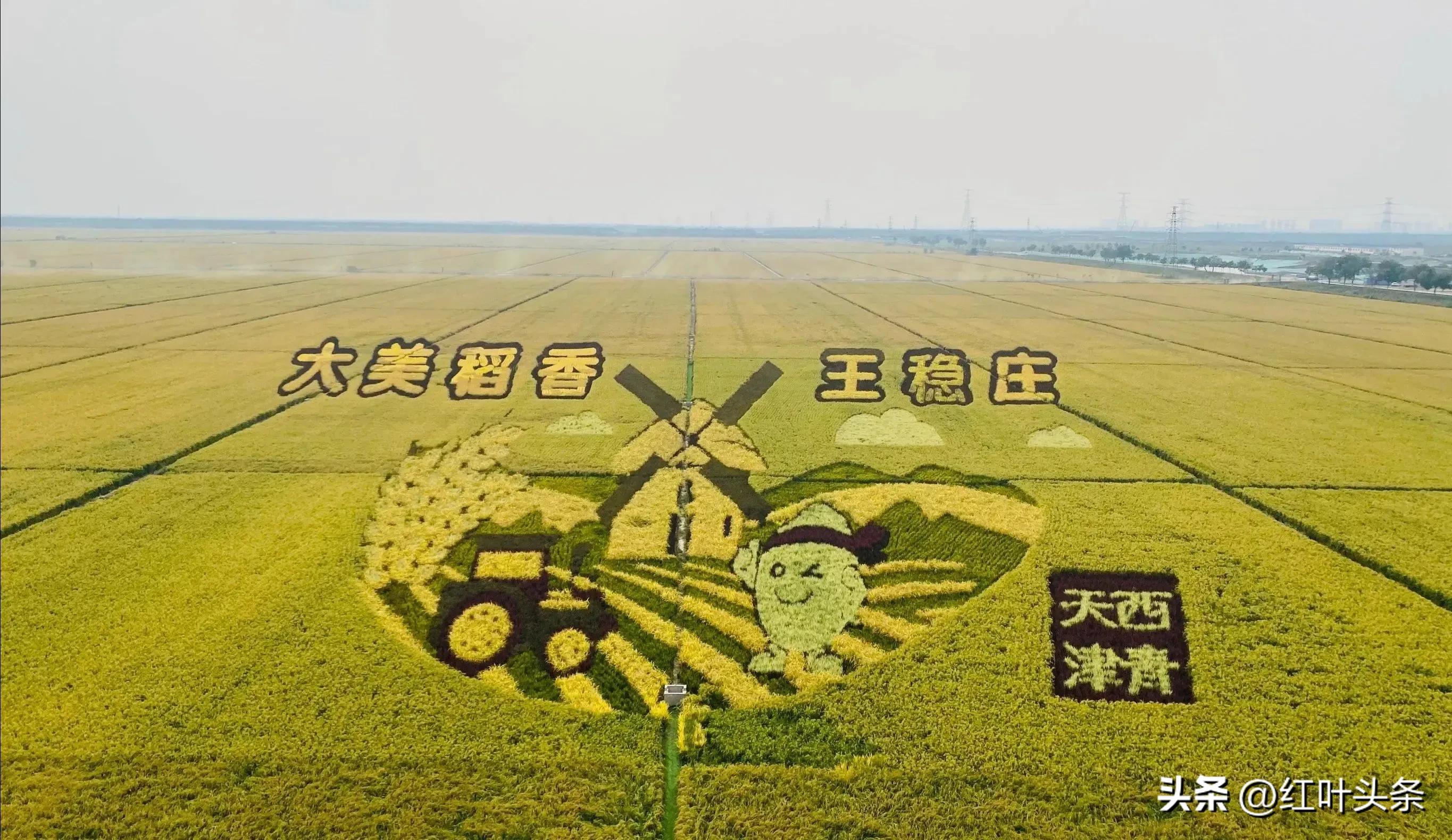 咏张学良,咏北戴河的诗词