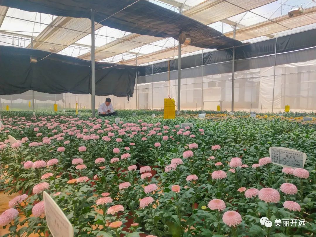 3年6000亿美元,3年赚60万什么水平