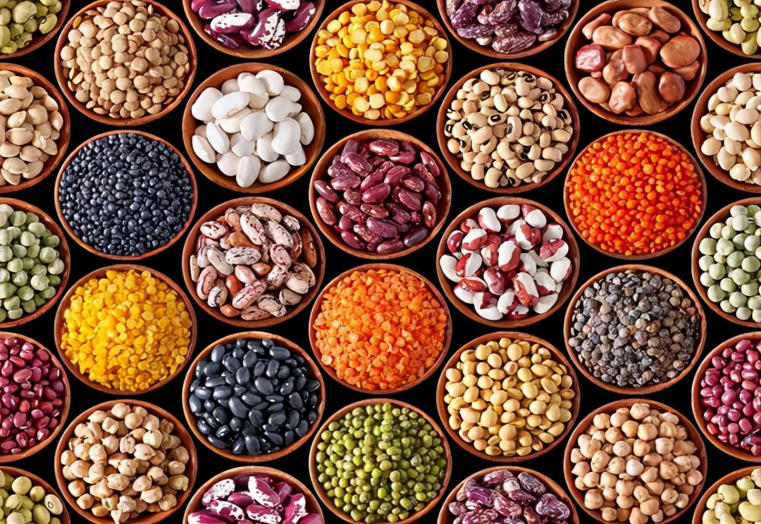 知耕快报｜高GABA基因编辑番茄日本上市；植物工厂种植可可树