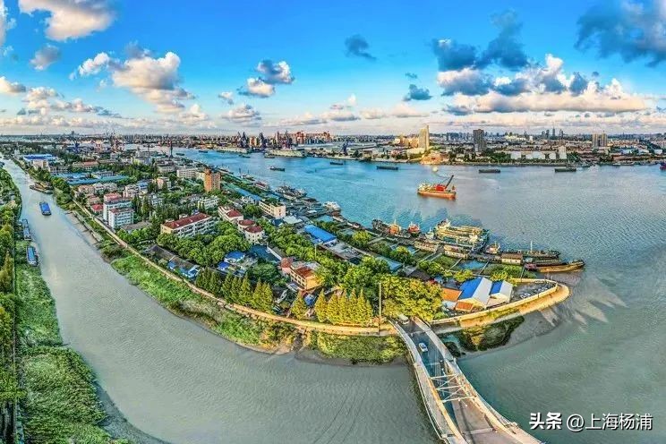 速来围观！这一大赛获奖作品出炉！发现杨浦的“小而美”