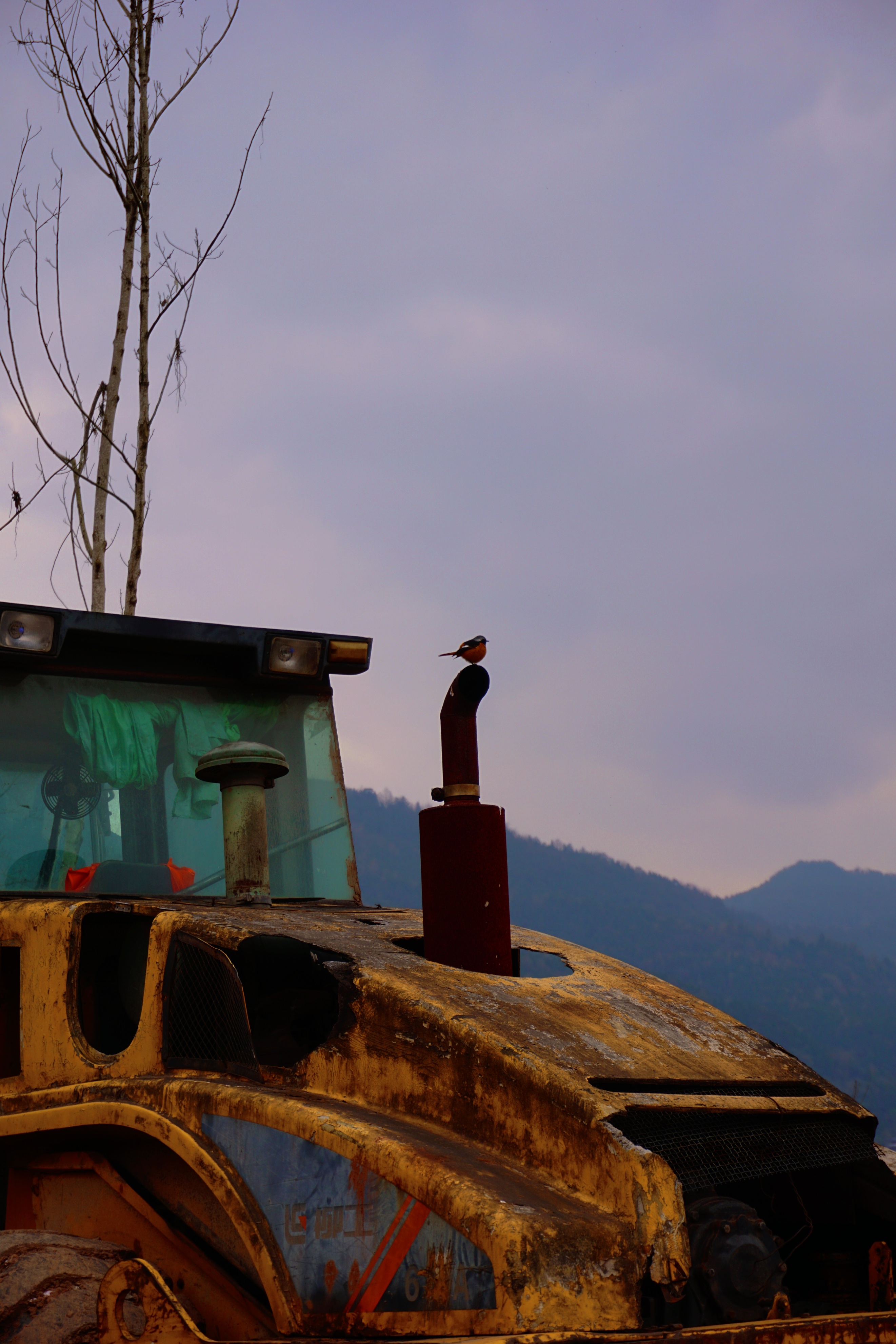 微单：SONYα6000手机：XIAOMIMIX4记录我的美好时刻