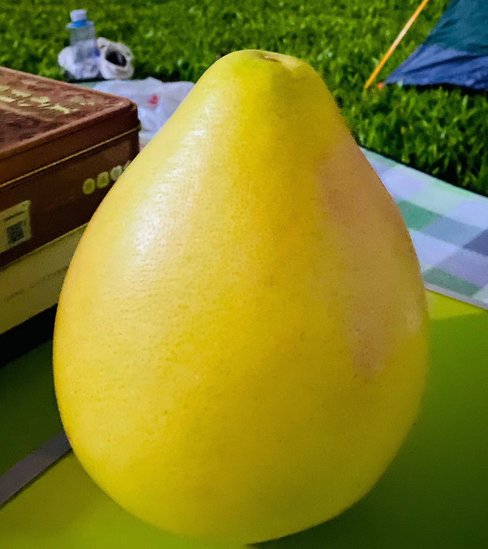 万圣节用柚子做灯笼的方法,柚子做的灯笼又好玩又好吃