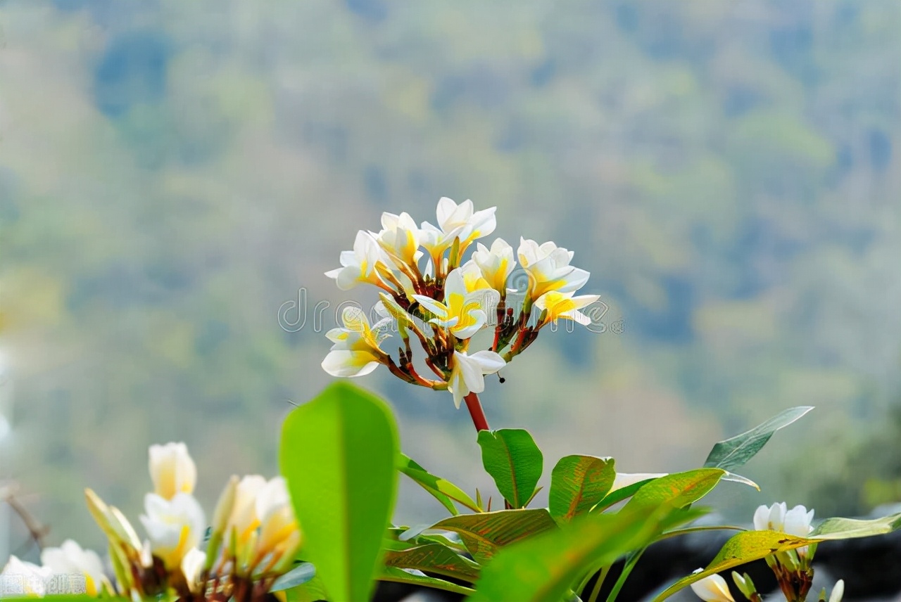 男人爱不爱你看他手机就知道了,一个男人爱不爱你是能感觉得到的