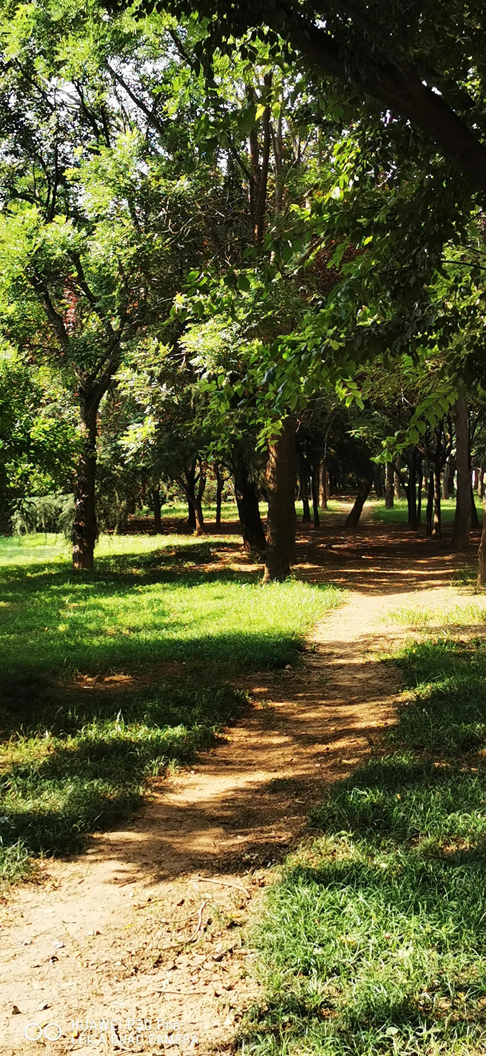 鎵嬫媿涓栫晫鎽勫奖浜ゆ祦骞冲彴,鎵嬫媿涓栫晫鎵嬫満鎽勫奖骞冲彴