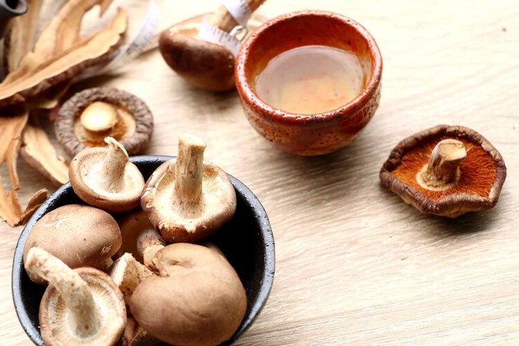 癌症病人为什么不能吃灵芝孢子粉,灵芝孢子粉一天吃多少治疗癌症