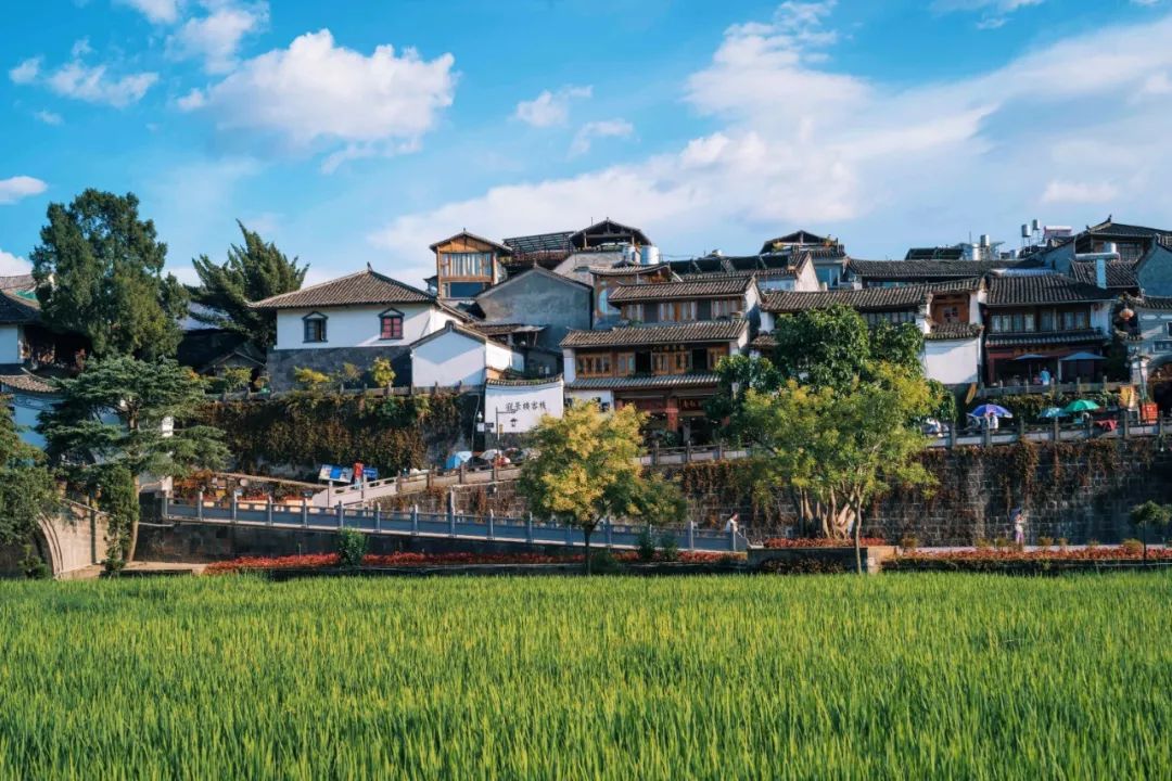 银杏谷泡温泉的地方,广东冬天赏银杏泡温泉