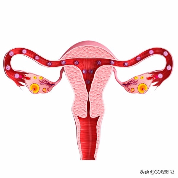 女人在飞机上突然肚子疼后续,女子在飞机上肚子疼