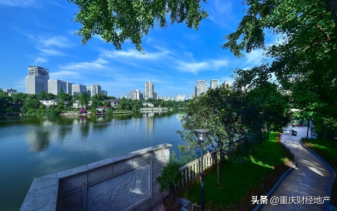 从*旗国**手到保安，我与香樟林守望20年