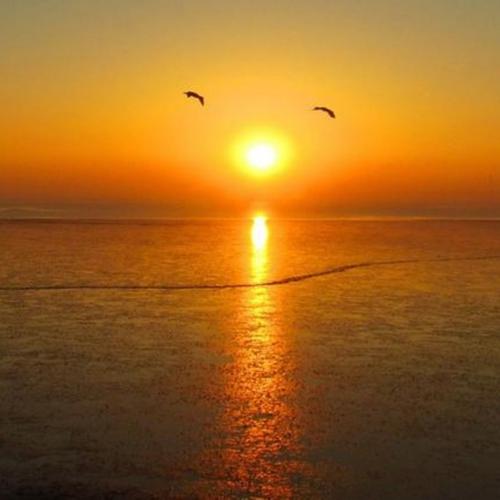 兴趣是最好的老师作文600字,兴趣作文中考范文