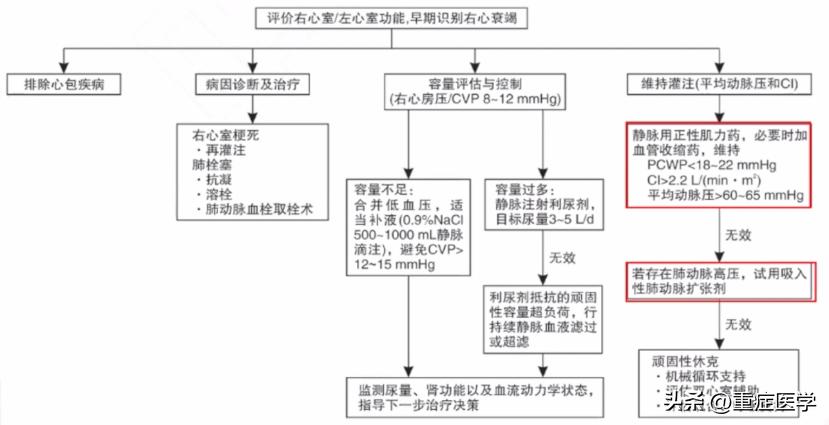 急性心力衰竭的诊断和治疗课件,急性心力衰竭指南