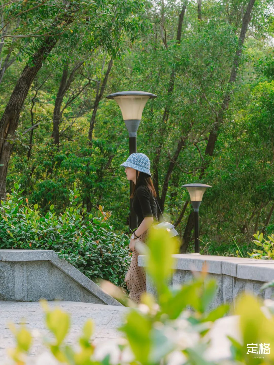 深圳10条入门登山线路推荐,深圳十大山峰最新登山攻略