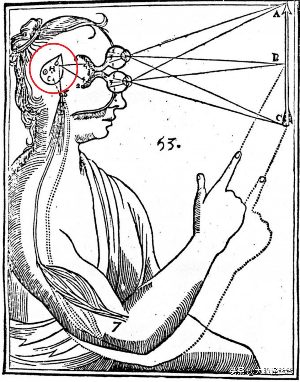 远古三眼人类,远古三眼人