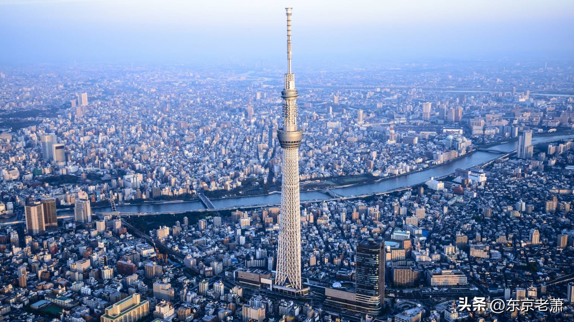 简历造假、项目加盟、过户*局骗**——2023版日本签证采坑实例