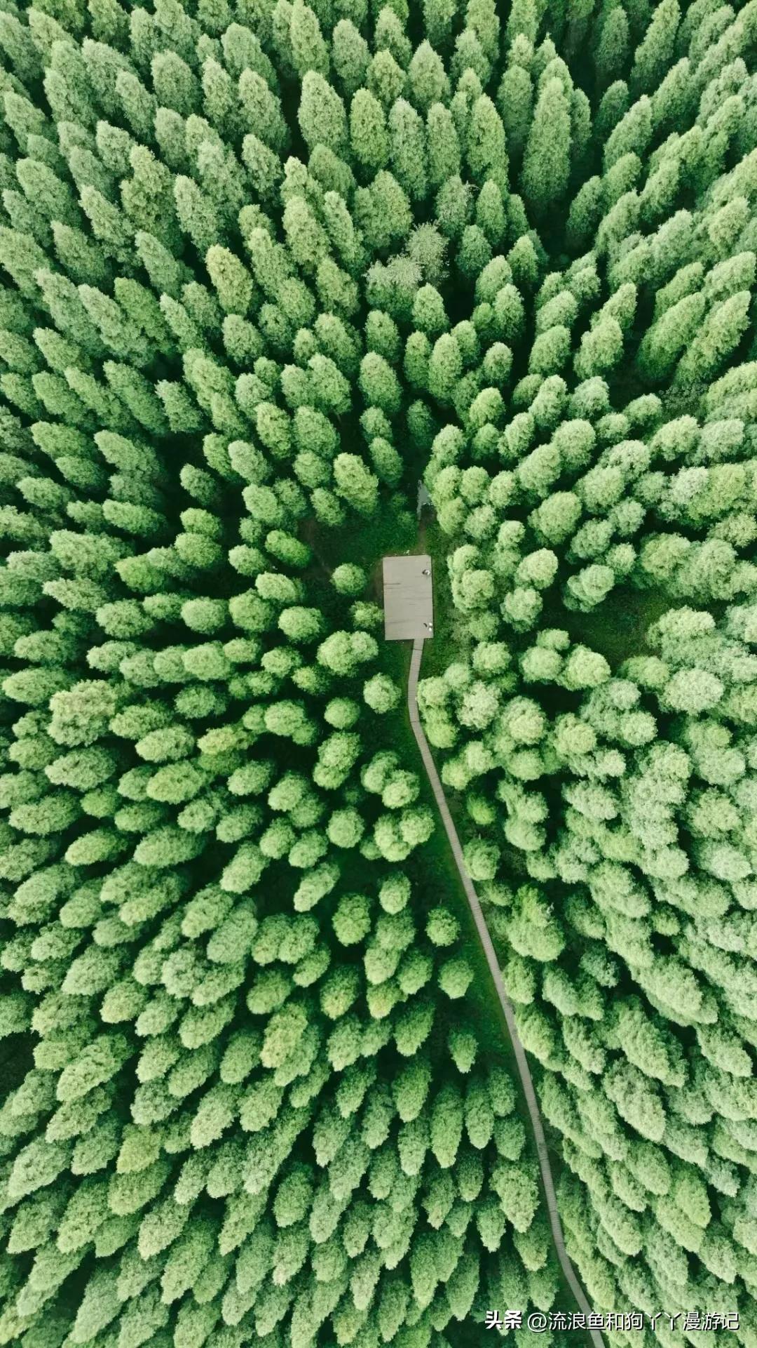 四月份成都近郊一日游好去处,2022成都近郊看雪一日游最佳去处