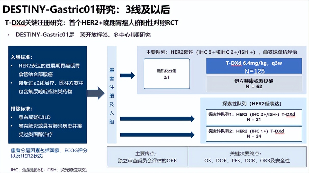 her2抗体偶联物恩美曲妥珠,her2的新型抗体药物偶联物