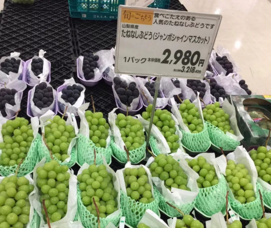 日本阳光葡萄,日本葡萄卖5000