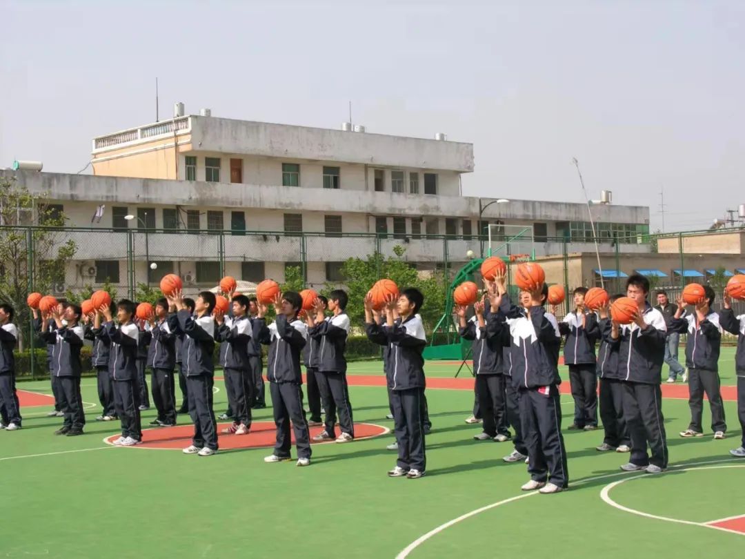 如何开展教育特色学校品牌建设,打造特色学校提升德育实效