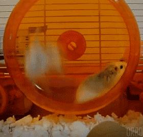 出租车司机锐评峰子招嫖