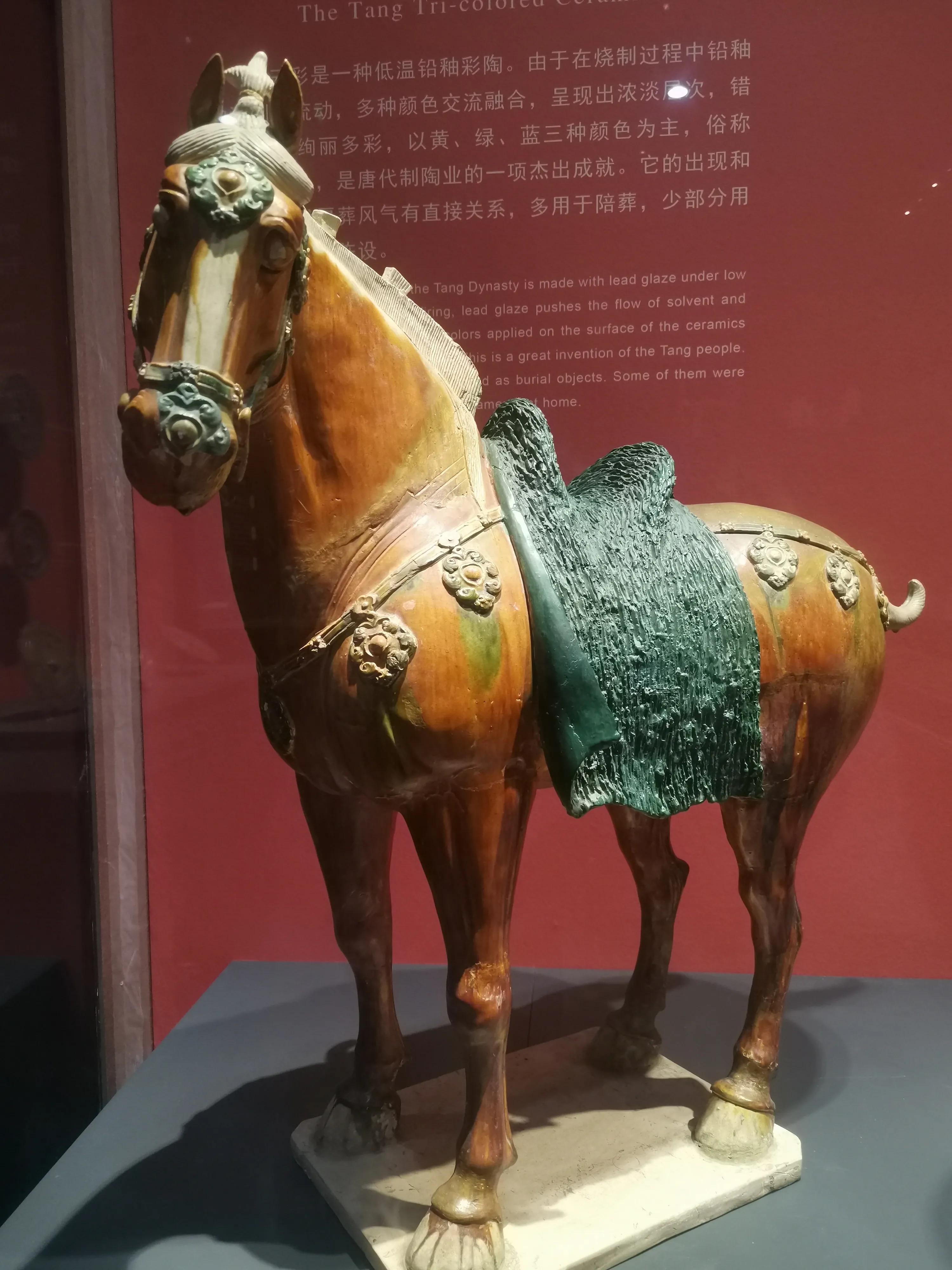 西安随性游自由行攻略